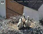 Capi_Dubne_20250630_171504.jpg