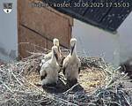 Capi_Dubne_20250630_175503.jpg
