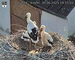 Capi_Dubne_20250630_195502.jpg