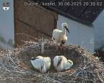 Capi_Dubne_20250630_203002.jpg