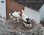 Capi_Dubne_20250630_211004.jpg