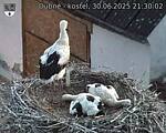 Capi_Dubne_20250630_213002.jpg