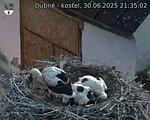 Capi_Dubne_20250630_213502.jpg