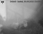 Capi_Dubne_20250630_220503.jpg