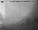 Capi_Dubne_20250630_221502.jpg