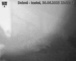 Capi_Dubne_20250630_233502.jpg