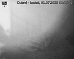 Capi_Dubne_20250701_002502.jpg