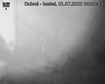 Capi_Dubne_20250701_003003.jpg