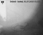 Capi_Dubne_20250701_012502.jpg