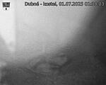 Capi_Dubne_20250701_013003.jpg