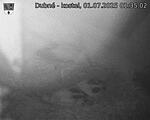 Capi_Dubne_20250701_013502.jpg