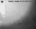 Capi_Dubne_20250701_032003.jpg
