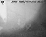 Capi_Dubne_20250701_040002.jpg