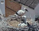 Capi_Dubne_20250701_153504.jpg