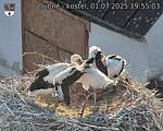 Capi_Dubne_20250701_195503.jpg