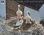 Capi_Dubne_20250701_200503.jpg