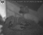 Capi_Dubne_20250701_225003.jpg