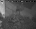 Capi_Dubne_20250701_230503.jpg