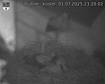 Capi_Dubne_20250701_232002.jpg