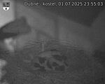 Capi_Dubne_20250701_235503.jpg
