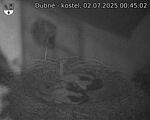 Capi_Dubne_20250702_004502.jpg