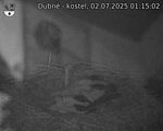 Capi_Dubne_20250702_011502.jpg