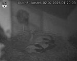 Capi_Dubne_20250702_012003.jpg