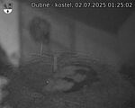 Capi_Dubne_20250702_012502.jpg