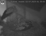 Capi_Dubne_20250702_013503.jpg
