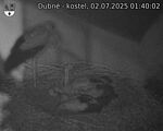 Capi_Dubne_20250702_014002.jpg