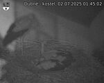 Capi_Dubne_20250702_014502.jpg