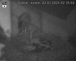 Capi_Dubne_20250702_023502.jpg