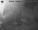 Capi_Dubne_20250702_031502.jpg