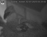 Capi_Dubne_20250702_032502.jpg