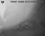 Capi_Dubne_20250702_034503.jpg