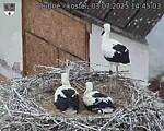 Capi_Dubne_20250703_144503.jpg