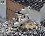 Capi_Dubne_20250703_171502.jpg