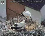 Capi_Dubne_20250703_182503.jpg