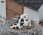 Capi_Dubne_20250703_195503.jpg