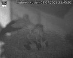 Capi_Dubne_20250703_234503.jpg