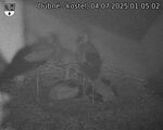Capi_Dubne_20250704_010502.jpg