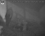 Capi_Dubne_20250704_031502.jpg