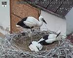 Capi_Dubne_20250704_130503.jpg
