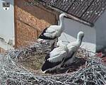 Capi_Dubne_20250704_134503.jpg