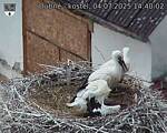 Capi_Dubne_20250704_144002.jpg