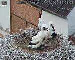 Capi_Dubne_20250704_150502.jpg