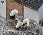 Capi_Dubne_20250704_163002.jpg