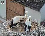 Capi_Dubne_20250704_183003.jpg