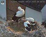 Capi_Dubne_20250704_202002.jpg