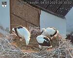 Capi_Dubne_20250704_203002.jpg